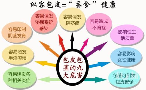 【有图有真相】包皮能怀孕吗？